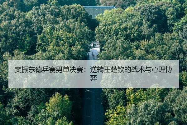 fan-zhen-dong-de-ping-sai-nan-dan-jue-sai-ni-zhuan-wang-chu-qin-de-zhan-shu-yu-xin-li-bo-yi-2-666.jpg