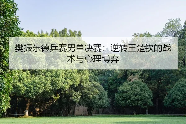 fan-zhen-dong-de-ping-sai-nan-dan-jue-sai-ni-zhuan-wang-chu-qin-de-zhan-shu-yu-xin-li-bo-yi-3-425.jpg