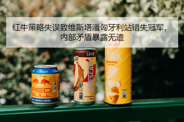 红牛策略失误致维斯塔潘匈牙利站错失冠军，内部矛盾暴露无遗