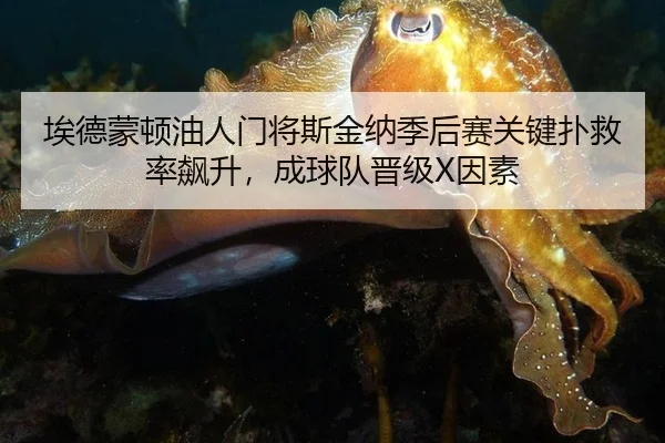 埃德蒙顿油人门将斯金纳季后赛关键扑救率飙升，成球队晋级X因素