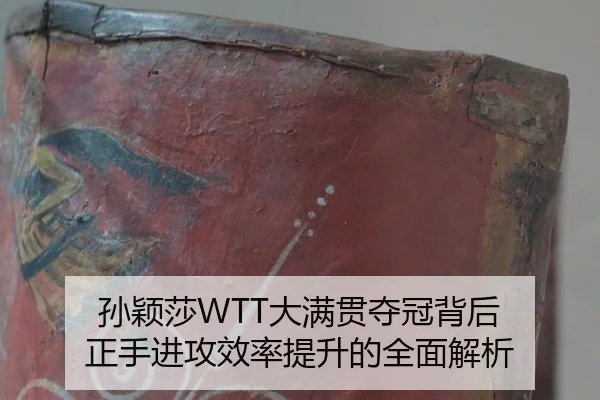 孙颖莎WTT大满贯夺冠背后 正手进攻效率提升的全面解析